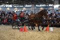 Photo n 35606&#10;EQUITALYON et l'ARAA   photo Franck Patin&#10;Stphane THEVENET&#10;Affiche 30 fois&#10;Ajoute le 10/11/2015 08:14:57 par JeanClaudeGrognet&#10;&#10;--> Cliquer pour agrandir <--