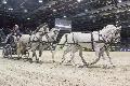 Photo n 35619&#10;CAIW Bordeaux  photo Patrick Crasnier&#10;&#10;Affiche 41 fois&#10;Ajoute le 06/02/2016 09:40:06 par JeanClaudeGrognet&#10;&#10;--> Cliquer pour agrandir <--