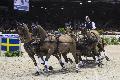Photo n 35626&#10;CAIW Bordeaux photo Patrick crasnier&#10;Boy Exell&#10;Affiche 20 fois&#10;Ajoute le 07/02/2016 13:26:19 par JeanClaudeGrognet&#10;&#10;--> Cliquer pour agrandir <--