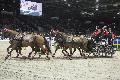 Photo n 35633&#10;CAIW Bordeaux photo Patrick crasnier&#10;Jrome Voutaz&#10;Affiche 10 fois&#10;Ajoute le 07/02/2016 13:26:19 par JeanClaudeGrognet&#10;&#10;--> Cliquer pour agrandir <--