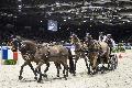 Photo n 35635&#10;CAIW Bordeaux photo Patrick crasnier&#10;Koos de Ronde&#10;Affiche 11 fois&#10;Ajoute le 07/02/2016 13:26:19 par JeanClaudeGrognet&#10;&#10;--> Cliquer pour agrandir <--