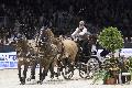 Photo n 35636&#10;CAIW Bordeaux photo Patrick crasnier&#10;Koos de Ronde&#10;Affiche 11 fois&#10;Ajoute le 07/02/2016 13:26:19 par JeanClaudeGrognet&#10;&#10;--> Cliquer pour agrandir <--