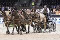 Photo n 35637&#10;CAIW Bordeaux photo Patrick crasnier&#10;Koos de Ronde&#10;Affiche 12 fois&#10;Ajoute le 07/02/2016 13:26:19 par JeanClaudeGrognet&#10;&#10;--> Cliquer pour agrandir <--