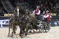 Photo n 35638&#10;CAIW Bordeaux photo Patrick crasnier&#10;Michal Brauchle&#10;Affiche 12 fois&#10;Ajoute le 07/02/2016 13:26:19 par JeanClaudeGrognet&#10;&#10;--> Cliquer pour agrandir <--