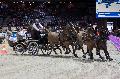 Photo n 35652&#10;CAIW Bordeaux  photo Patrick Crasnier&#10;&#10;Affiche 9 fois&#10;Ajoute le 08/02/2016 13:14:51 par JeanClaudeGrognet&#10;&#10;--> Cliquer pour agrandir <--