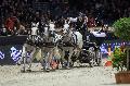 Photo n 35654&#10;CAIW Bordeaux  photo Patrick Crasnier&#10;&#10;Affiche 13 fois&#10;Ajoute le 08/02/2016 13:14:51 par JeanClaudeGrognet&#10;&#10;--> Cliquer pour agrandir <--