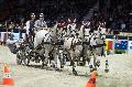 Photo n 35666&#10;CAIW Bordeaux  photo Patrick Crasnier&#10;&#10;Affiche 16 fois&#10;Ajoute le 08/02/2016 13:14:51 par JeanClaudeGrognet&#10;&#10;--> Cliquer pour agrandir <--