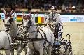 Photo n 35669&#10;CAIW Bordeaux  photo Patrick Crasnier&#10;&#10;Affiche 27 fois&#10;Ajoute le 08/02/2016 13:14:52 par JeanClaudeGrognet&#10;&#10;--> Cliquer pour agrandir <--
