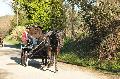 Photo n 35677&#10;HN Uzs Endurance attele  photo Karine Renard&#10;&#10;Affiche 11 fois&#10;Ajoute le 22/02/2016 12:57:01 par JeanClaudeGrognet&#10;&#10;--> Cliquer pour agrandir <--