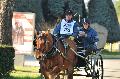 Photo n° 35680
HN Uzès Endurance attelée  photo Karine Renard

Affichée 8 fois
Ajoutée le 22/02/2016 12:57:01 par JeanClaudeGrognet

--> Cliquer pour agrandir <--