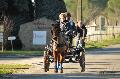 Photo n 35685&#10;HN Uzs Endurance attele  photo Karine Renard&#10;&#10;Affiche 13 fois&#10;Ajoute le 22/02/2016 12:57:01 par JeanClaudeGrognet&#10;&#10;--> Cliquer pour agrandir <--