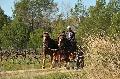 Photo n 35689&#10;HN Uzs Endurance attele  photo Karine Renard&#10;&#10;Affiche 15 fois&#10;Ajoute le 22/02/2016 12:57:01 par JeanClaudeGrognet&#10;&#10;--> Cliquer pour agrandir <--