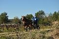 Photo n 35690&#10;HN Uzs Endurance attele  photo Karine Renard&#10;&#10;Affiche 10 fois&#10;Ajoute le 22/02/2016 12:57:01 par JeanClaudeGrognet&#10;&#10;--> Cliquer pour agrandir <--