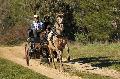 Photo n 35692&#10;HN Uzs Endurance attele  photo Karine Renard&#10;&#10;Affiche 9 fois&#10;Ajoute le 22/02/2016 12:57:01 par JeanClaudeGrognet&#10;&#10;--> Cliquer pour agrandir <--