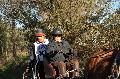 Photo n 35699&#10;HN Uzs Endurance attele  photo Karine Renard&#10;&#10;Affiche 9 fois&#10;Ajoute le 22/02/2016 12:57:01 par JeanClaudeGrognet&#10;&#10;--> Cliquer pour agrandir <--
