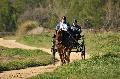 Photo n 35700&#10;HN Uzs Endurance attele  photo Karine Renard&#10;&#10;Affiche 10 fois&#10;Ajoute le 22/02/2016 12:57:01 par JeanClaudeGrognet&#10;&#10;--> Cliquer pour agrandir <--