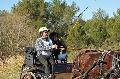Photo n 35702&#10;HN Uzs Endurance attele  photo Karine Renard&#10;&#10;Affiche 15 fois&#10;Ajoute le 22/02/2016 12:57:01 par JeanClaudeGrognet&#10;&#10;--> Cliquer pour agrandir <--