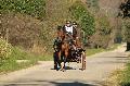 Photo n 35703&#10;HN Uzs Endurance attele  photo Karine Renard&#10;&#10;Affiche 16 fois&#10;Ajoute le 22/02/2016 12:57:01 par JeanClaudeGrognet&#10;&#10;--> Cliquer pour agrandir <--