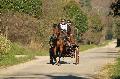 Photo n° 35703
HN Uzès Endurance attelée  photo Karine Renard

Affichée 13 fois
Ajoutée le 22/02/2016 12:57:01 par JeanClaudeGrognet

--> Cliquer pour agrandir <--