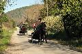 Photo n 35709&#10;HN Uzs Endurance attele  photo Karine Renard&#10;&#10;Affiche 24 fois&#10;Ajoute le 22/02/2016 12:57:02 par JeanClaudeGrognet&#10;&#10;--> Cliquer pour agrandir <--