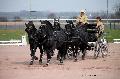 Photo n° 35725
Lisieux Février 2016. Photo Chevalandrieu
Sébastien MOURIER
Affichée 58 fois
Ajoutée le 01/03/2016 13:44:46 par Nadinetoudic

--> Cliquer pour agrandir <--