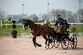 Photo n 35727&#10;Lisieux Fvrier 2016. Photo Chevalandrieu&#10;Andr WYNANTS&#10;Affiche 40 fois&#10;Ajoute le 01/03/2016 13:44:46 par Nadinetoudic&#10;&#10;--> Cliquer pour agrandir <--