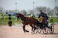 Photo n° 35727
Lisieux Février 2016. Photo Chevalandrieu
André WYNANTS
Affichée 39 fois
Ajoutée le 01/03/2016 13:44:46 par Nadinetoudic

--> Cliquer pour agrandir <--