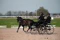 Photo n 35728&#10;Lisieux Fvrier 2016. Photo Chevalandrieu&#10;Renaud VINCK&#10;Affiche 43 fois&#10;Ajoute le 01/03/2016 13:44:46 par Nadinetoudic&#10;&#10;--> Cliquer pour agrandir <--