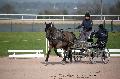 Photo n 35730&#10;Lisieux Fvrier 2016. Photo Chevalandrieu&#10;Anna CHRISTMANN&#10;Affiche 35 fois&#10;Ajoute le 01/03/2016 13:44:46 par Nadinetoudic&#10;&#10;--> Cliquer pour agrandir <--