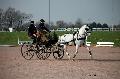 Photo n 35732&#10;Lisieux Fvrier 2016. Photo Chevalandrieu&#10;Pierre-Manuel BRASSEUR&#10;Affiche 42 fois&#10;Ajoute le 01/03/2016 13:44:46 par Nadinetoudic&#10;&#10;--> Cliquer pour agrandir <--