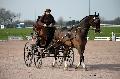 Photo n 35733&#10;Lisieux Fvrier 2016. Photo Chevalandrieu&#10;Guy COLETTE&#10;Affiche 52 fois&#10;Ajoute le 01/03/2016 13:44:46 par Nadinetoudic&#10;&#10;--> Cliquer pour agrandir <--