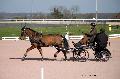 Photo n 35734&#10;Lisieux Fvrier 2016. Photo Chevalandrieu&#10;Sabine GUERIN&#10;Affiche 42 fois&#10;Ajoute le 01/03/2016 14:51:11 par Nadinetoudic&#10;&#10;--> Cliquer pour agrandir <--