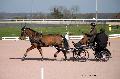 Photo n° 35734
Lisieux Février 2016. Photo Chevalandrieu
Sabine GUERIN
Affichée 41 fois
Ajoutée le 01/03/2016 14:51:11 par Nadinetoudic

--> Cliquer pour agrandir <--