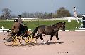 Photo n 35735&#10;Lisieux Fvrier 2016. Photo Chevalandrieu&#10;Yves GERARD&#10;Affiche 42 fois&#10;Ajoute le 01/03/2016 14:51:11 par Nadinetoudic&#10;&#10;--> Cliquer pour agrandir <--