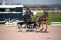 Photo n 35736&#10;Lisieux Fvrier 2016. Photo Chevalandrieu&#10;Pierre LE CLERC&#10;Affiche 38 fois&#10;Ajoute le 01/03/2016 14:51:11 par Nadinetoudic&#10;&#10;--> Cliquer pour agrandir <--