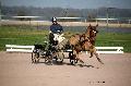Photo n 35737&#10;Lisieux Fvrier 2016. Photo Chevalandrieu&#10;Marie VERNA&#10;Affiche 90 fois&#10;Ajoute le 01/03/2016 14:51:11 par Nadinetoudic&#10;&#10;--> Cliquer pour agrandir <--