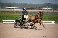 Photo n° 35737
Lisieux Février 2016. Photo Chevalandrieu
Marie VERNA
Affichée 79 fois
Ajoutée le 01/03/2016 14:51:11 par Nadinetoudic

--> Cliquer pour agrandir <--