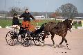 Photo n 35738&#10;Lisieux Fvrier 2016. Photo Chevalandrieu&#10;Yvan MEUWIS&#10;Affiche 27 fois&#10;Ajoute le 02/03/2016 11:55:57 par Nadinetoudic&#10;&#10;--> Cliquer pour agrandir <--