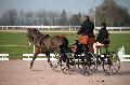 Photo n° 35739
Lisieux Février 2016. Photo Chevalandrieu
Yvan MEUWIS
Affichée 22 fois
Ajoutée le 02/03/2016 11:55:57 par Nadinetoudic

--> Cliquer pour agrandir <--