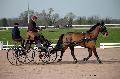 Photo n 35740&#10;Lisieux Fvrier 2016. Photo Chevalandrieu&#10;Louis-Marie MALHERBE&#10;Affiche 17 fois&#10;Ajoute le 02/03/2016 11:55:57 par Nadinetoudic&#10;&#10;--> Cliquer pour agrandir <--