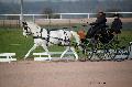 Photo n 35742&#10;Lisieux Fvrier 2016. Photo Chevalandrieu&#10;Mathieu ORY DEGOMME&#10;Affiche 44 fois&#10;Ajoute le 02/03/2016 11:55:57 par Nadinetoudic&#10;&#10;--> Cliquer pour agrandir <--