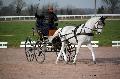 Photo n 35743&#10;Lisieux Fvrier 2016. Photo Chevalandrieu&#10;Mathieu ORY DEGOMME&#10;Affiche 47 fois&#10;Ajoute le 02/03/2016 11:55:57 par Nadinetoudic&#10;&#10;--> Cliquer pour agrandir <--