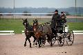 Photo n 35748&#10;Lisieux Fvrier 2016. Photo Chevalandrieu&#10;Jean-Frdric SELLE&#10;Affiche 24 fois&#10;Ajoute le 02/03/2016 11:55:58 par Nadinetoudic&#10;&#10;--> Cliquer pour agrandir <--