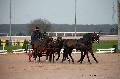 Photo n° 35751
Lisieux Février 2016. Photo Chevalandrieu
Sébastien VINCENT
Affichée 27 fois
Ajoutée le 03/03/2016 16:51:56 par Nadinetoudic

--> Cliquer pour agrandir <--