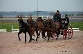 Photo n° 35752
Lisieux Février 2016. Photo Chevalandrieu
Sébastien VINCENT
Affichée 35 fois
Ajoutée le 03/03/2016 16:51:56 par Nadinetoudic

--> Cliquer pour agrandir <--