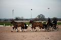 Photo n 35753&#10;Lisieux Fvrier 2016. Photo Chevalandrieu&#10;Fabrice MARTIN&#10;Affiche 27 fois&#10;Ajoute le 03/03/2016 16:51:56 par Nadinetoudic&#10;&#10;--> Cliquer pour agrandir <--