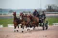 Photo n 35754&#10;Lisieux Fvrier 2016. Photo Chevalandrieu&#10;Fabrice MARTIN&#10;Affiche 30 fois&#10;Ajoute le 03/03/2016 16:51:56 par Nadinetoudic&#10;&#10;--> Cliquer pour agrandir <--