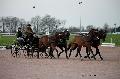 Photo n 35755&#10;Lisieux Fvrier 2016. Photo Chevalandrieu&#10;Anthony HORDE&#10;Affiche 22 fois&#10;Ajoute le 03/03/2016 16:51:56 par Nadinetoudic&#10;&#10;--> Cliquer pour agrandir <--