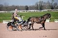 Photo n 35757&#10;Lisieux Fvrier 2016. Photo Chevalandrieu&#10;Pierre BLOTTIN&#10;Affiche 23 fois&#10;Ajoute le 03/03/2016 17:03:55 par Nadinetoudic&#10;&#10;--> Cliquer pour agrandir <--