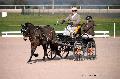 Photo n 35758&#10;Lisieux Fvrier 2016. Photo Chevalandrieu&#10;Pierre BLOTTIN&#10;Affiche 20 fois&#10;Ajoute le 03/03/2016 17:03:55 par Nadinetoudic&#10;&#10;--> Cliquer pour agrandir <--
